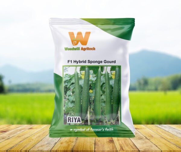 Riya F1 Hybrid Sponge Gourd
