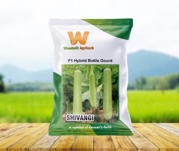 Shivangi F1 Hybrid Bottle Gourd