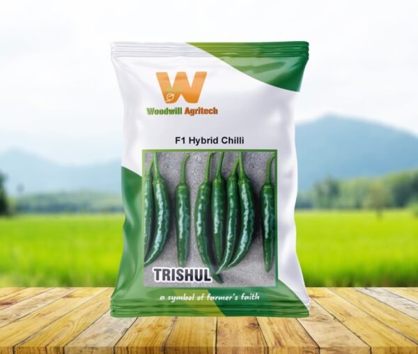 Trishul F1 Hybrid Chilli