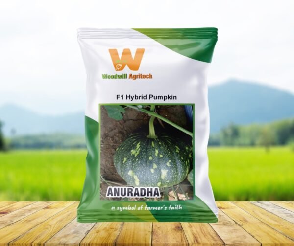ANURADHA – F1 Hybrid Pumpkin Seeds by Woodwill Agritech