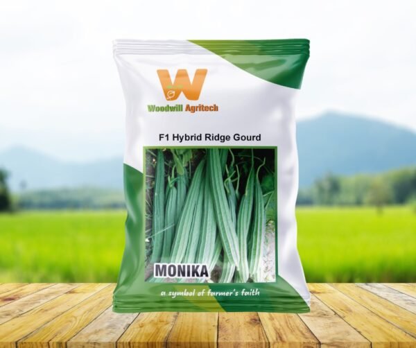 F1 Hybrid Ridge Gourd Seeds – MONIKA by Woodwill Agritech