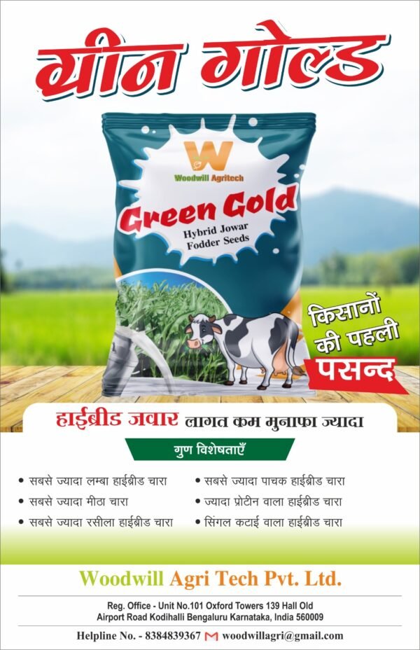 Green Gold Hybrid Jowar