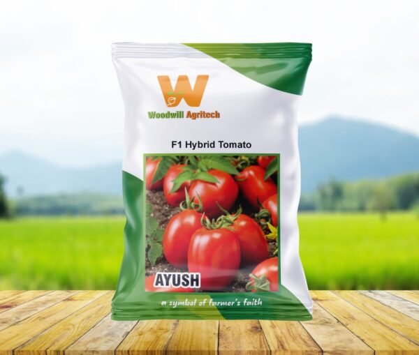 Ayush F1 Hybrid Tomato