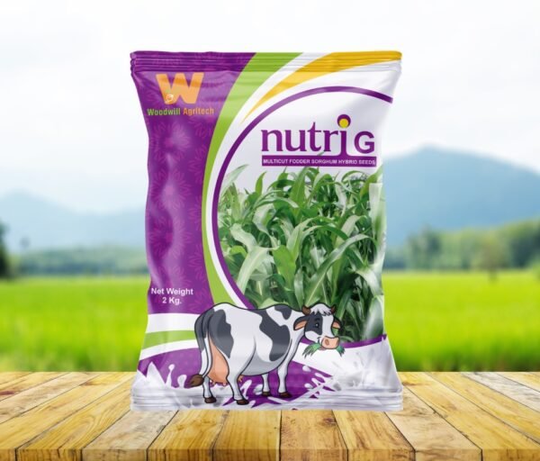 NutriG – Multicut Fodder Sorghum Hybrid Seeds by Woodwill Agritech